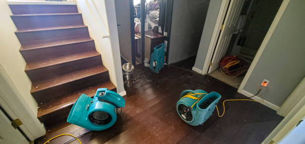 Best Flood restoration services  in Coldwater, MS