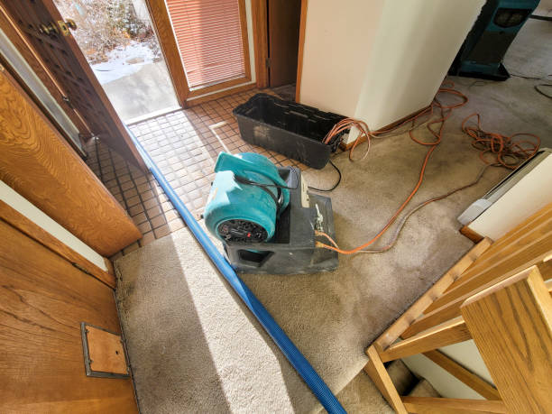 Best Carpet water damage restoration  in Coldwater, MS