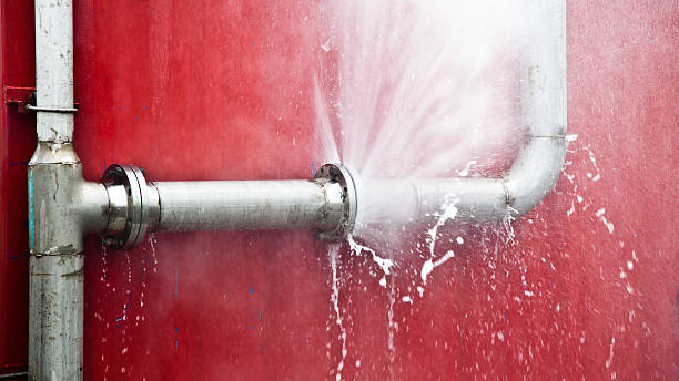 Best Ceiling water damage repair  in Coldwater, MS