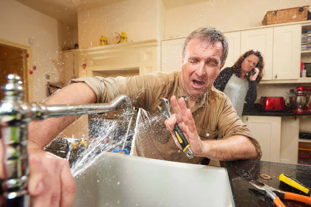 Best Mold removal after water damage  in Coldwater, MS